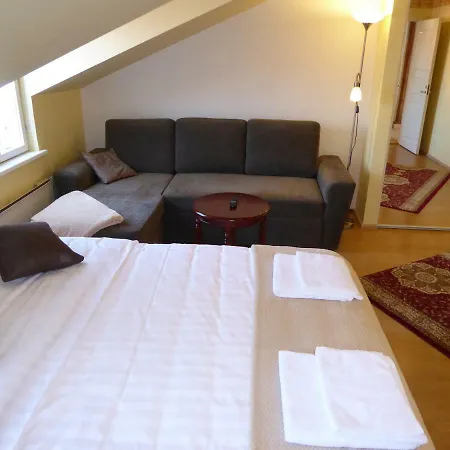 Sunny And Spacious With Terrace *