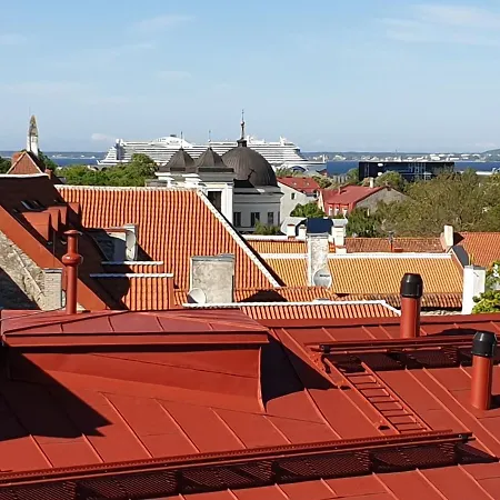Sunny And Spacious With Terrace Apartment