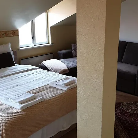Sunny And Spacious With Terrace Apartment *
